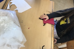 2074AEFE-1F25-4437-A27F-CCFF593FFD48