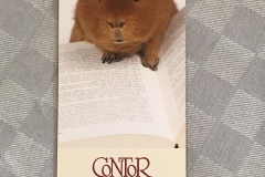 E38B5534-D2BE-4DF7-9F4C-C382F728ECC3